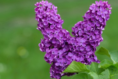 杭州空放私借|企业资金短拆|杭州私人放款快速借钱