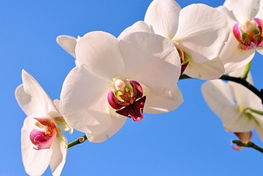 杭州空放急用钱贷款|生意借钱周转|杭州急用钱个人贷款