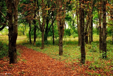 杭州私人借钱上门放款，快速到账无抵押