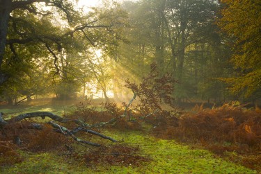杭州空放零用贷|个人信用借款|杭州私人24小时借钱