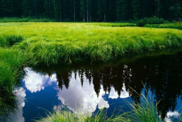 杭州急需借钱私人电话速解资金难题